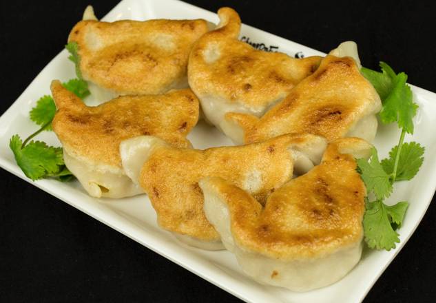 Pan Fried Potstickers (6) — Chengdu Famous Food Philadelphia