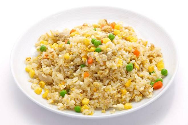 Veggie Fried Rice — Chengdu Famous Food Philadelphia