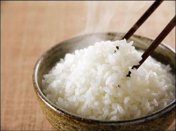 Large Plain White Rice — Chengdu Famous Food Philadelphia
